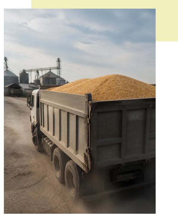 Перевозка сельхозпродукции навалом в Нового Уренгой по цене от 3119 р. | Агросервис-Нвг